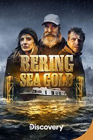 Goldtaucher der Beringsee