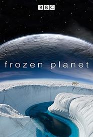 BBC: Frozen Planet - Eisige Welten