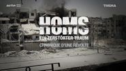 Homs: Ein zerstörter Traum
