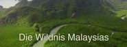 Die Wildnis Malaysias