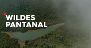 Wildes Pantanal