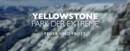 Yellowstone: Park der Extreme