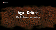 Aga-Kröten: Die Eroberung Australiens