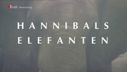 Hannibals Elefanten