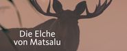 Die Elche von Matsalu: Estlands wilde Riesen