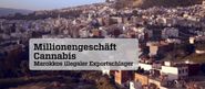 Millionengeschäft Cannabis: Marokkos illegaler Exportschlager