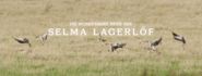 Die wunderbare Reise der Selma Lagerlöf