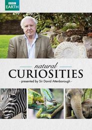 BBC: David Attenboroughs Wunder der Natur
