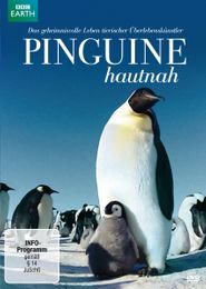 BBC Earth: Pinguine hautnah