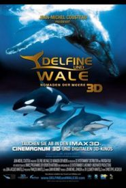 Delfine und Wale: Nomaden der Meere