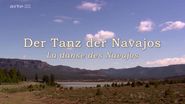 Der Tanz der Navajos
