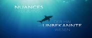 Der Hai: Das unbekannte Wesen
