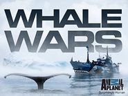 Whale Wars: Krieg den Walfängern