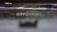 Hippo vs Kroko
