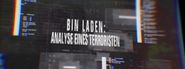 Bin Laden: Analyse eines Terroristen