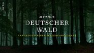 Mythos deutscher Wald: Erkundung einer Seelenlandschaft