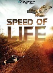 Speed of Life: Momentaufnahmen des Lebens