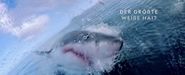 Der grösste Weisse Hai: Expedition Hawaii