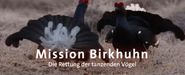 Mission Birkhuhn: Die Rettung der tanzenden Vögel