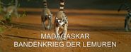 Madagaskar: Bandenkrieg der Lemuren