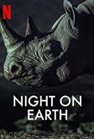 Night on Earth: Die Erde bei Nacht