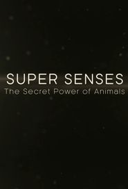BBC: Die Supersinne der Tiere
