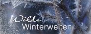 Terra X: Wilde Winterwelten