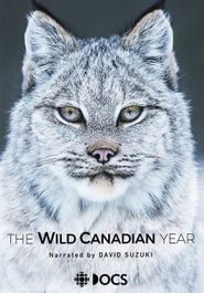 Ein Jahr in Kanadas Wildnis