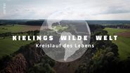 Kielings wilde Welt
