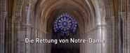 Die Rettung von Notre Dame