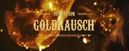 Operation Goldrausch