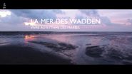 Das Wattenmeer: Leben zwischen Land und See