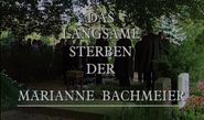 Das langsame Sterben der Marianne Bachmeier