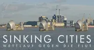 Sinking Cities