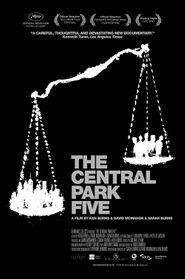 Die Fünf vom Central Park