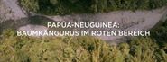 Papua Neuguinea: Baumkänguruhs im roten Bereich