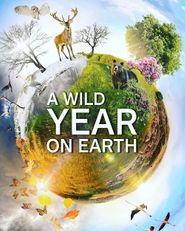Durch das Jahr in der weltweiten Wildnis