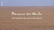 Männer der Wüste: Mit Kamelhirten durch die Sahara